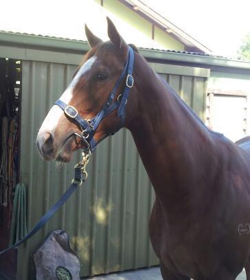 MMcAvaney's profile picture. 