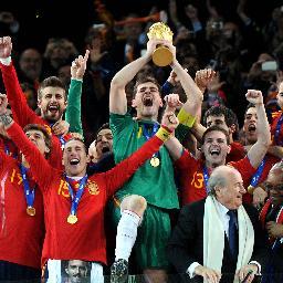 2014 FIFA World Cup lodging, Official hospitality and travel packages