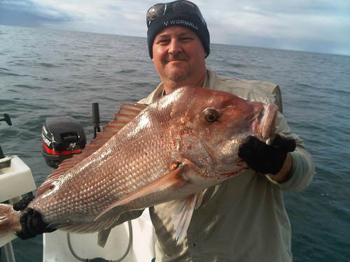 Dalecookie's profile picture. Fishing, Yorkes, AFL, Port Magpies, Port Adelaide Power, and fine SA Shiraz