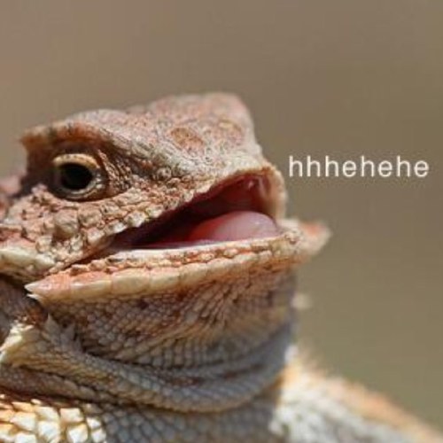 PHRASESMiky's profile picture. Bienvenido! Acabas de encontrar una cuenta enriquecida de interes publico donde tocaremos temas de todo interes. Acompañanos y disfruta de un buen dia.!