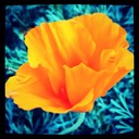 Lacey Lancaster - @PrettyPinot - Twitter