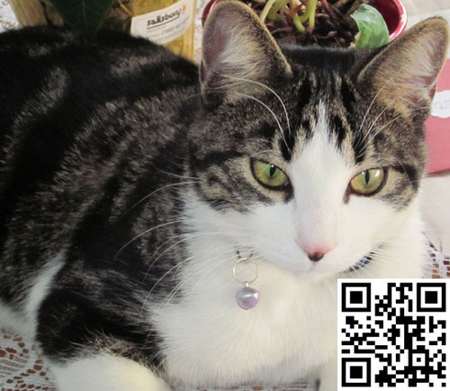 yegnk's profile picture. 