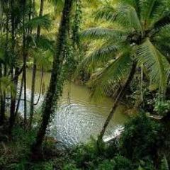 As long as you identify with ego-mind, you miss the obvious--your own formless presence. -Mooji