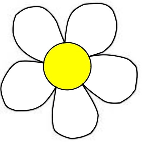 minddaisy Profile Picture