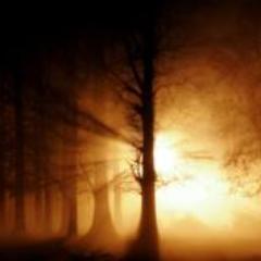 We must make the choices that enable us to fulfill the deepest capacities of our real selves.-Thomas Merton
