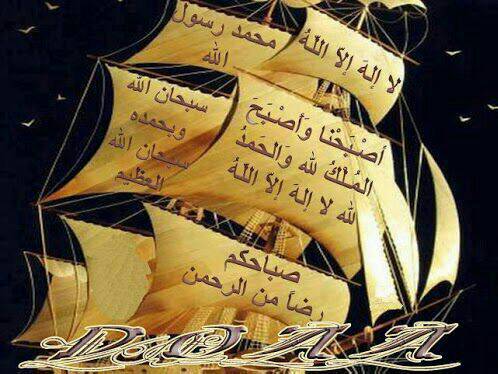 saeedzabib's profile picture. 