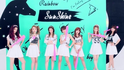 DSP Rainbow Indonesia Fanbase