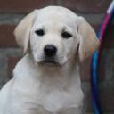 Barbara Lohmann - @labbiselma - Twitter