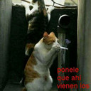 Anthony Handal  - @HandalAnthony - Twitter