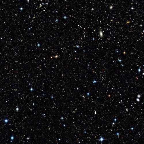 maria_mahone3's profile picture. REPORT THE SHIT OUT OF @jaijaisslut :)