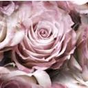 kailey marie orr - @kailey_orr - Twitter