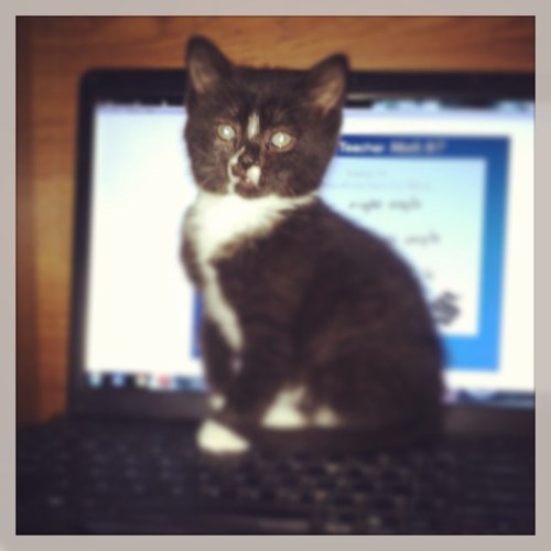 washingtongurll's profile picture. 