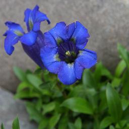 CitaatVanEllen's profile picture. Iedere dag een citaat. Of twee.