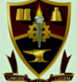 Team F.V.T.