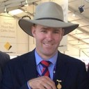 Al Rayner - @alrayner302 - Twitter