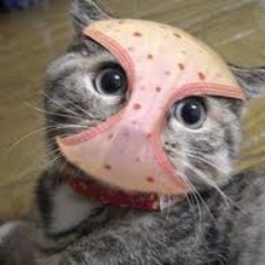 Funny Things Posted here!