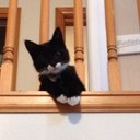 Richard saenz - @richardt33saenz - Twitter