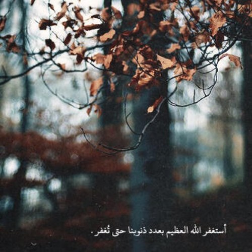 اذكار  ، ادعية متفرقة ..
الرجاء من كل متابع الدعم ، و جعله الله في موازين حسناتكم ❤❤~