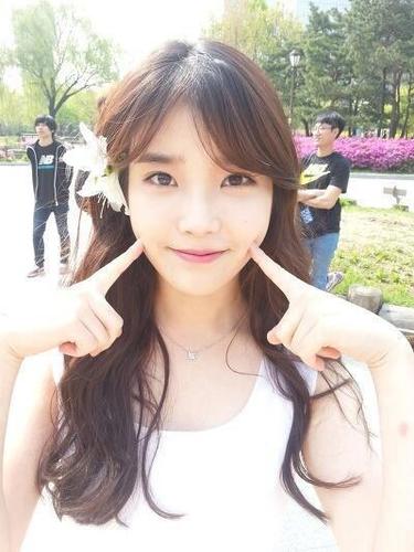 잠자는 숲속의 백곰