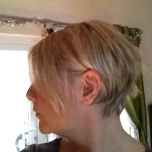 dutchsal's profile picture. 