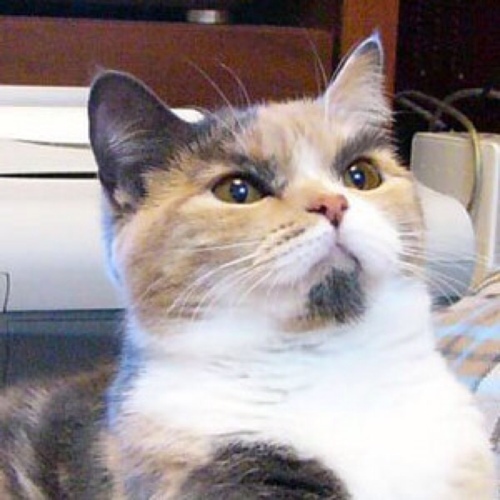 なんとか生きています。(￣◇￣;)