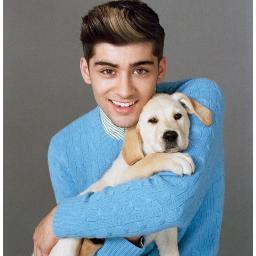 FansOv1D's profile picture. http://t.co/8od6Acynix