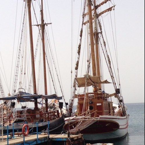 BrainNadejda's profile picture. 