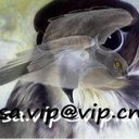 عاشق التحدي - @NormanNolan - Twitter