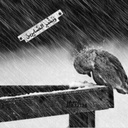 أوراق متصاقطه - @AveryRuiz1 - Twitter