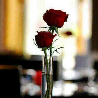 أستغفرك ربي وأتوب أليك.           Biology teacher