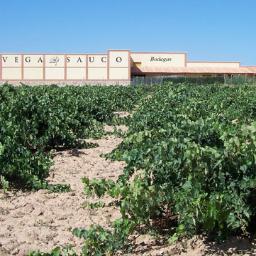 D.O. TORO HIGH QUALITY RED WINES. FAMILIAR WINERY