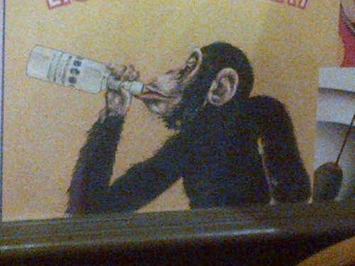 Tebbo34's profile picture. 