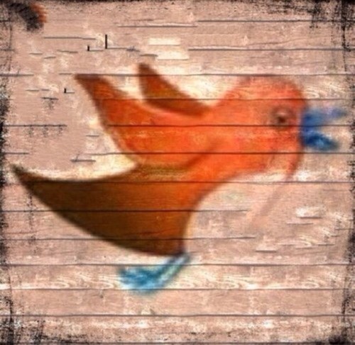gro00ob_ksa Profile Picture