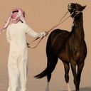 ورده في أحضان الربيع - @CaitlynRobles3 - Twitter