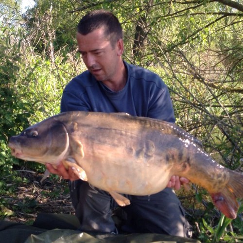 MarkBarrow0's profile picture. 