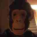 lloyd griffiths - @griffiths_lloyd - Twitter