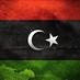 The New Libya Report Profile picture