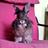 DonkeyTheRabbit's profile image