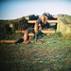 TyleriAndy's profile picture. Doddordebau: Cymraeg, dysgu Cymraeg, Cymru, Cerddoriaeth, Byw yn y Gymraeg yn Nrelluest/ Grangetown a thu hwnt :)