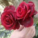 &ما لي غير الله& - @NoelTownsend3 - Twitter