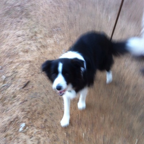 marks19074023's profile picture. 