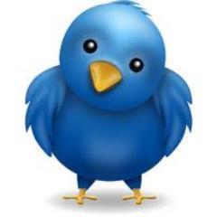 tweettweets