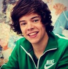 Harry, Louis Zayn Niall Liam -One direction-  /Directioner/ Sergio y Miguel -Critika y Saik- /Dreamer/