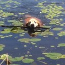 Scott Coughlin - @scottcoughlin93 - Twitter