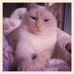 JessicaMcKerna1's profile picture.