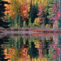 Nava3liBannist's profile picture. It is not because things are difficult that we do not dare, it is because we do not dare that they are difficult. – Seneca