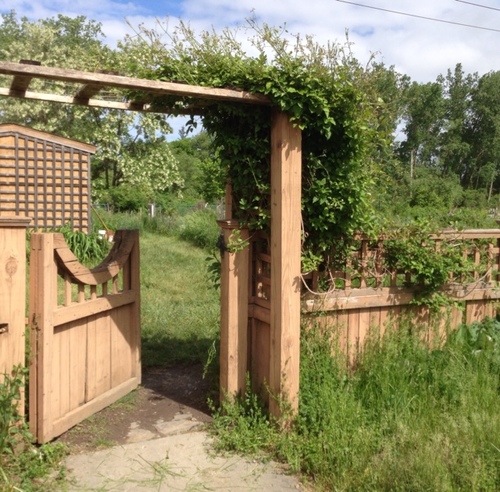 Providing a space where all Ithacans can come together & grow local, healthy, organic foods. #healthyliving #gardening #community