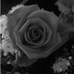 TheBRVC's profile picture. 