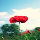 ريما القحطاني - @CarolCooley8 - Twitter