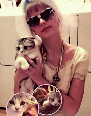 Hi,im a girl from hk.Im a swiftie:) And also im a directioner,smiler too.Follow me n i'll follow u back :)